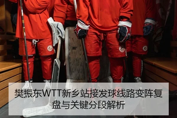 樊振东WTT新乡站接发球线路变阵复盘与关键分段解析